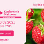 baner-malinowa-600×400
