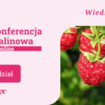banner_Malinowa_1200x628