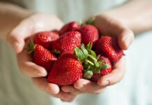 Zadbaj o #cennyowoc, czyli specjalne wsparcie dla producentów truskawek od FMC owoce truskawki