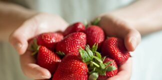 Zadbaj o #cennyowoc, czyli specjalne wsparcie dla producentów truskawek od FMC owoce truskawki