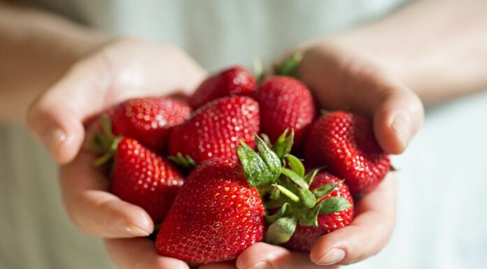 Zadbaj o #cennyowoc, czyli specjalne wsparcie dla producentów truskawek od FMC owoce truskawki