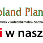 poland_plants_750x200_02-2021
