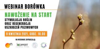 WEB Borówka: Nawożenie na start – stymulacja roślin oraz regeneracja uszkodzeń pozimowych