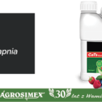 Agrosimex_Cats-sad-750×200