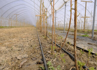 Malinowe Factory 2021 – IDZIEMY NA JAKOŚĆ