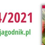Jagodnik 4_2021