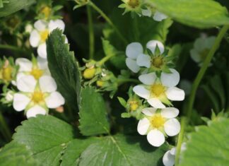 Aminokwasy – co warto wiedzieć