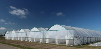 Wiosna pod tunelami (cz. I) – malina