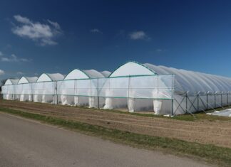 Wiosna pod tunelami (cz. I) – malina