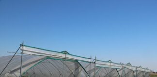 Ochrona truskawek pod osłonami wg. programu firmy Bayer na 2021 rok