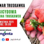 Fungicydowa ochrona truskawki