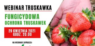 Webinar: Fungicydowa ochrona truskawek
