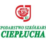 logo_cieplucha