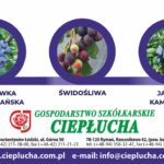 stopka_cieplucha_newsletter