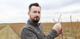 Nawożenie wiosenne borówki. Dlaczego warto dolistnie? Michał Wojcieszek Yara