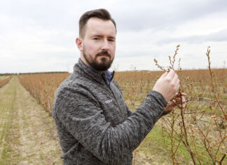 Nawożenie wiosenne borówki. Dlaczego warto dolistnie? Michał Wojcieszek Yara