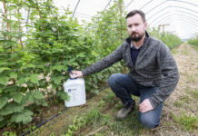 Malinowe Factory – zaczynamy dbać o jakość plonu Michał Wojcieszek