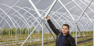 Tunele dla borówki – trendy w budowie konstrukcji tunele dla borówki haygrove