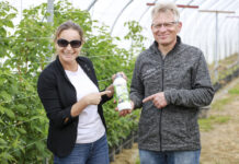 #Carbomaliny, czyli jak dostarczyć próchnicę do gleby i wspomóc wzrost roślin. 2 FILMY