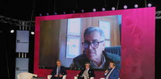 Maliny przemysłowe – podsumowanie pierwszego dnia 12 Międzynarodowej Konferencji Malinowej IRO2021