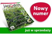 Jagodnik 5/2021 już w sprzedaży