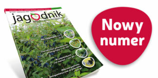 Jagodnik 5/2021 już w sprzedaży