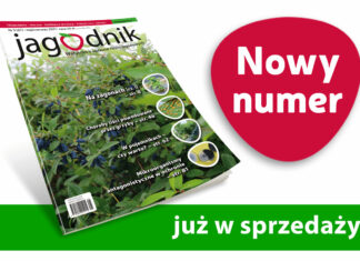 Jagodnik 5/2021 już w sprzedaży