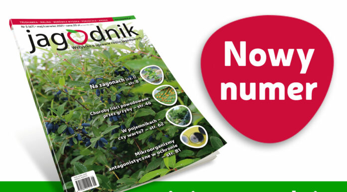 Jagodnik 5/2021 już w sprzedaży