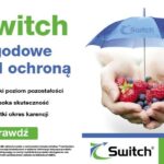 Switch_jagodowy
