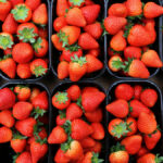 truskawka szklarniowa