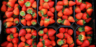 Jakie owoce najchętniej wybierali Polacy w maju 2021? WYNIKI BADAŃ truskawki