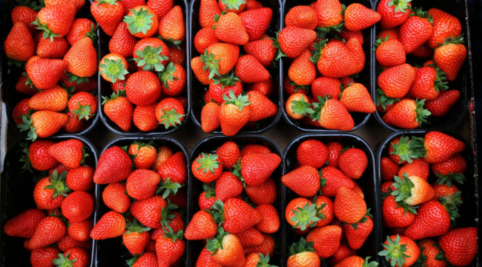 Jakie owoce najchętniej wybierali Polacy w maju 2021? WYNIKI BADAŃ truskawki