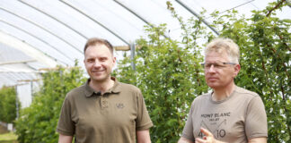 Maliny w tunelach. Odkażanie gleby lub uprawa w pojemnikach. FILM