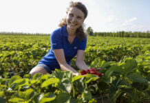 Wysyp truskawek w regionie warecko-grójeckim Magdalena Cieślak