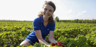 Wysyp truskawek w regionie warecko-grójeckim Magdalena Cieślak