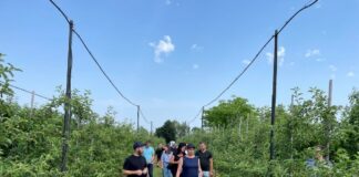 Forum Doradców Sadowniczych wreszcie się odbyło. Ważne aspekty w ochronie jagodowych