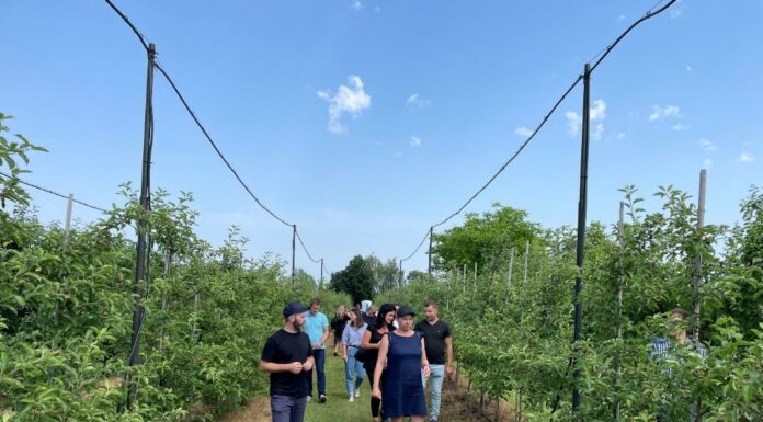 Forum Doradców Sadowniczych wreszcie się odbyło. Ważne aspekty w ochronie jagodowych