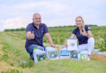 Jak pobudzić do wzrostu młodą plantację borówki?