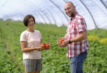 Być dostawcą do sieci Biedronka. Nowy projekt dostaw regionalnych