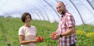 Być dostawcą do sieci Biedronka. Nowy projekt dostaw regionalnych