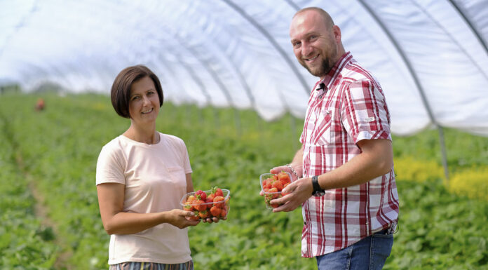 Być dostawcą do sieci Biedronka. Nowy projekt dostaw regionalnych