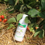 IMG_0112truskawka_KT_inspiracje_2