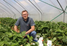 Kompleksowe rozwiązania nie tylko do nawożenia truskawek