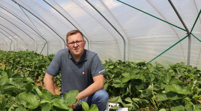 Kompleksowe rozwiązania nie tylko do nawożenia truskawek