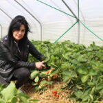 IMG_0174truskawka_KT_inspiracje_2