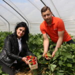 IMG_0187truskawka_KT_inspiracje_2