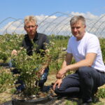 IMG_0326malina_borowka