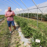 IMG_0367malina_borowka