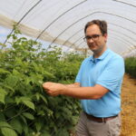 IMG_0470malina_borowka