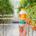 Koppert_pop_up_czerwiec